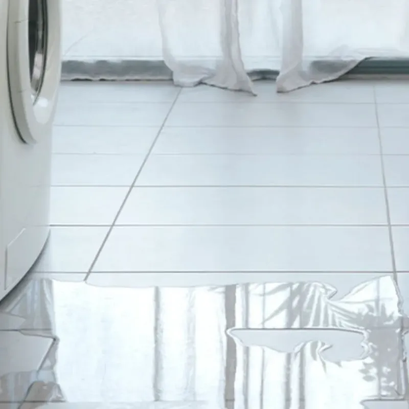 Appliance Leak Cleanup in Rolette County, ND