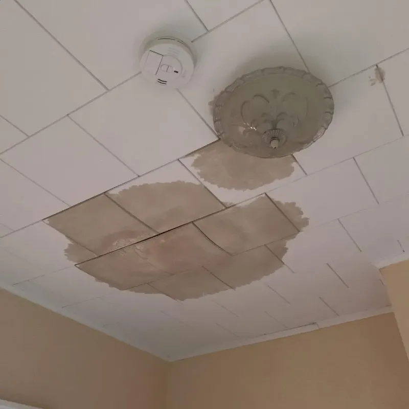 Ceiling Water Damage Repair in Rolette County, ND