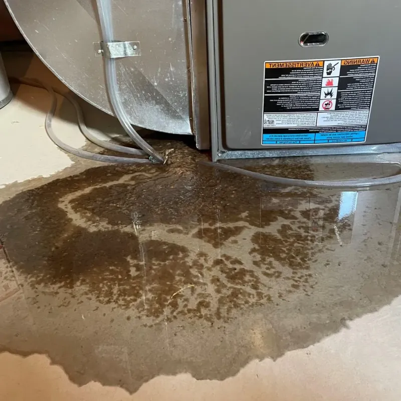Pipe Burst and Leak Restoration in Rolette County, ND