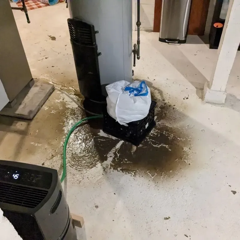 Sewage Backup Cleanup Service in Rolette County, ND